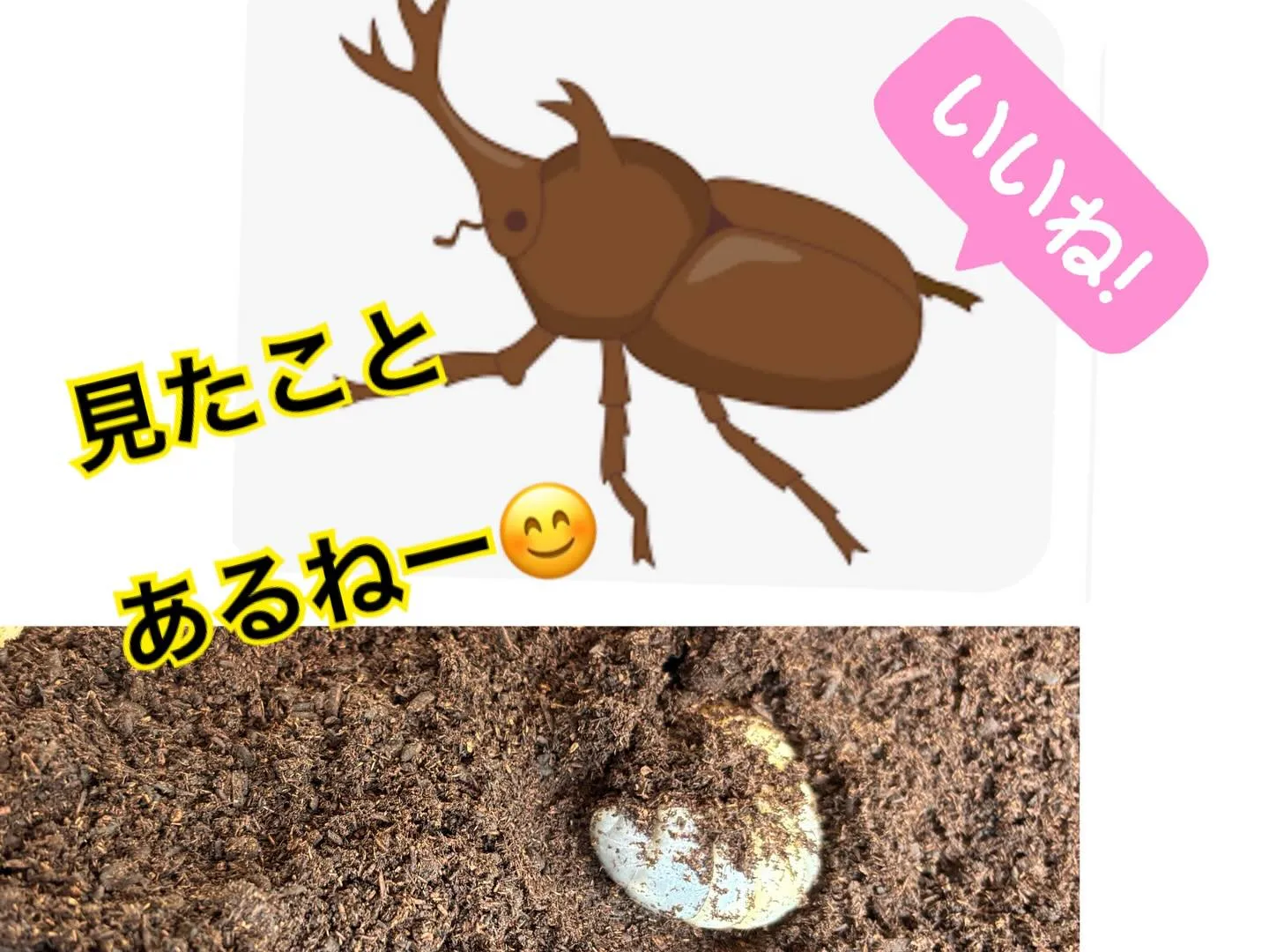 ウィズユー富田林向陽台です😊