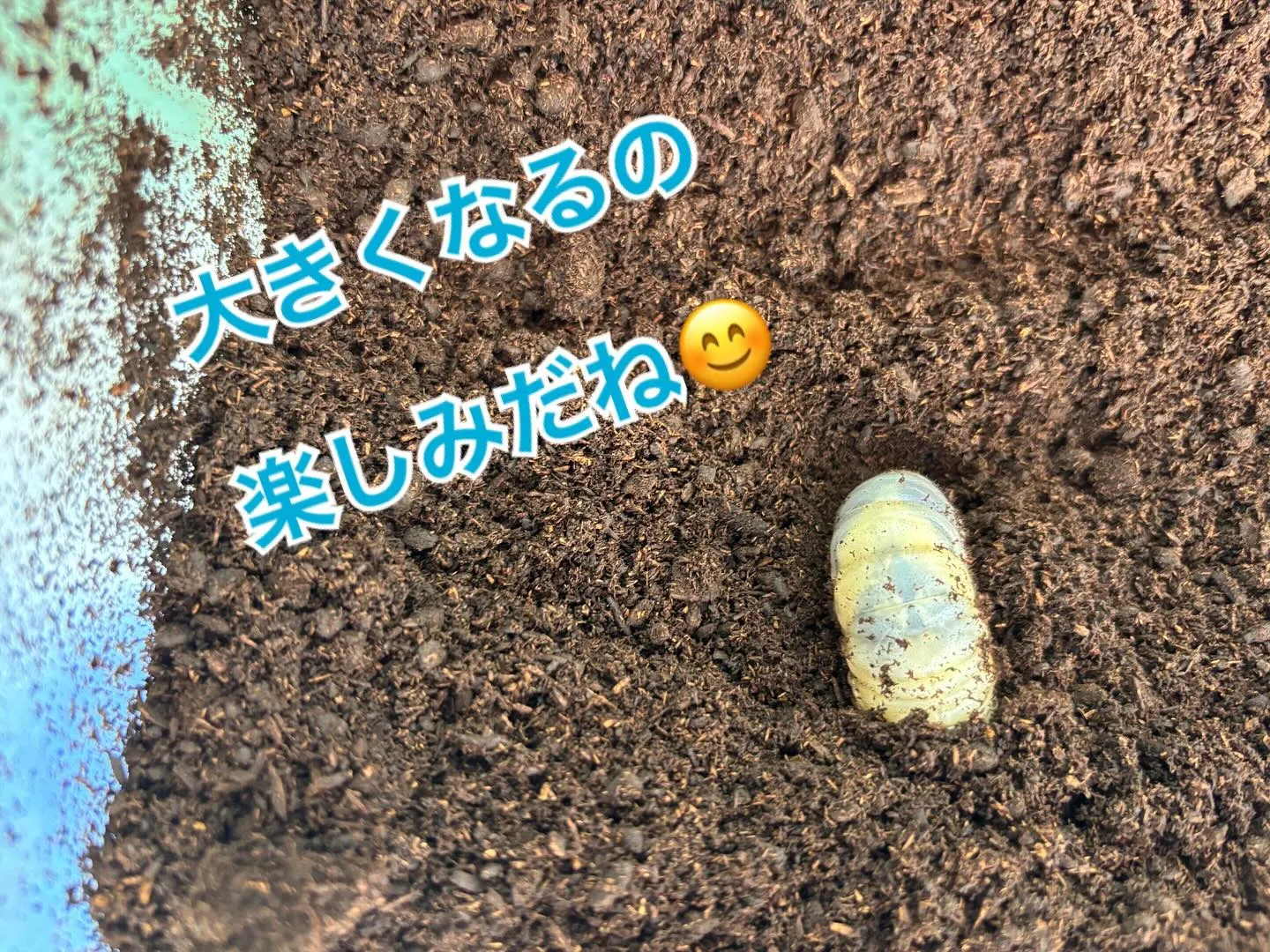 ウィズユー富田林向陽台です😊